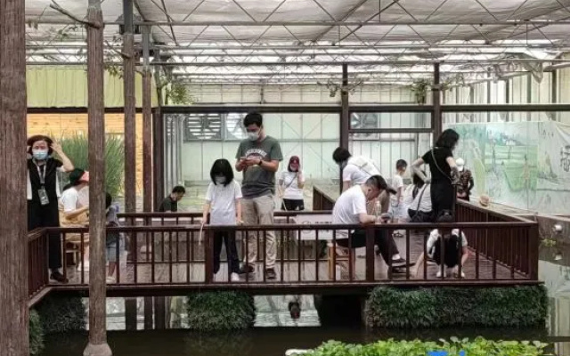 Momo Stage – People – Shanghai