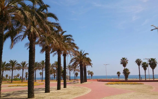 Torre Forum