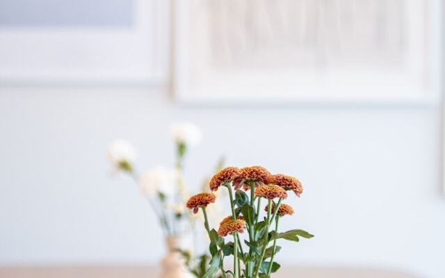 Western Star by Revelstoke Vacations