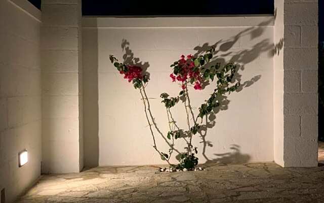 L'Ulivo Bed and Breakfast