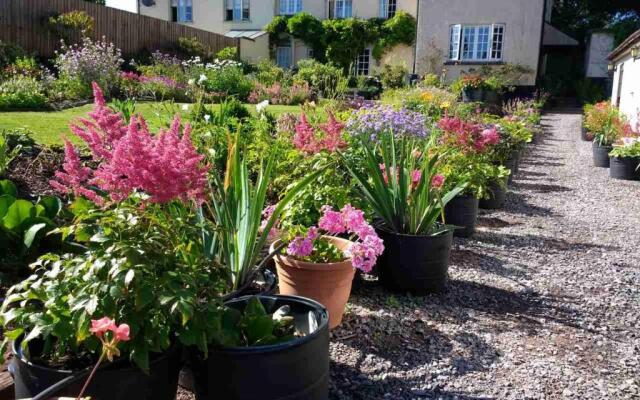 Brambles Bed and Breakfast