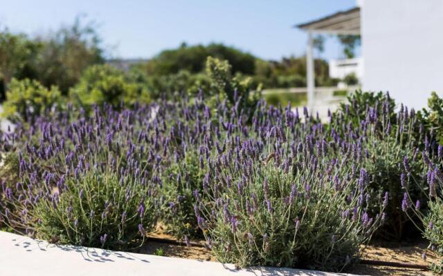 Plaka Villas Naxos - Matina sleeps 8