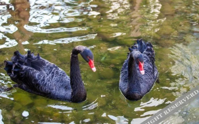 Xiyuanwan Enjoy The Scenery And Stroll Hotel