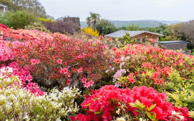 Windy Heath