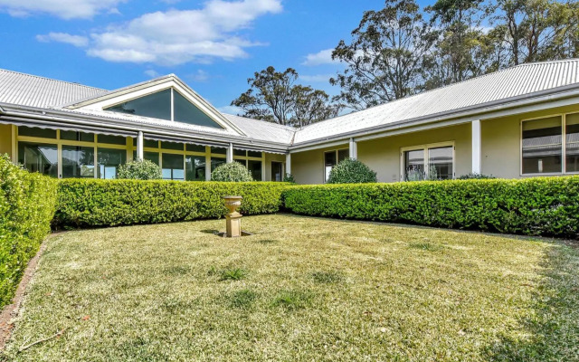 Olives and Vines at Majors Lane