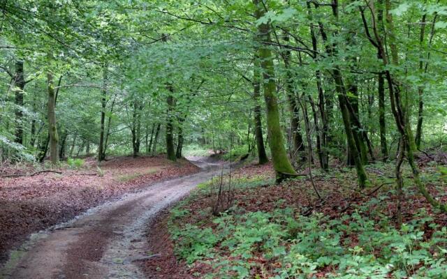 Maison d hôtes "Aux Légendes d Ardenne"
