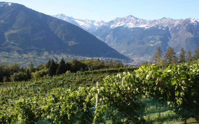 Eichenstein Weingut  Chalet
