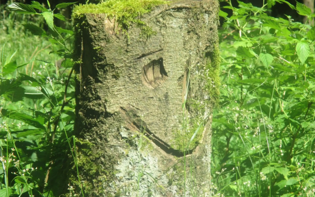 Ferienhaus "Am Gehre"