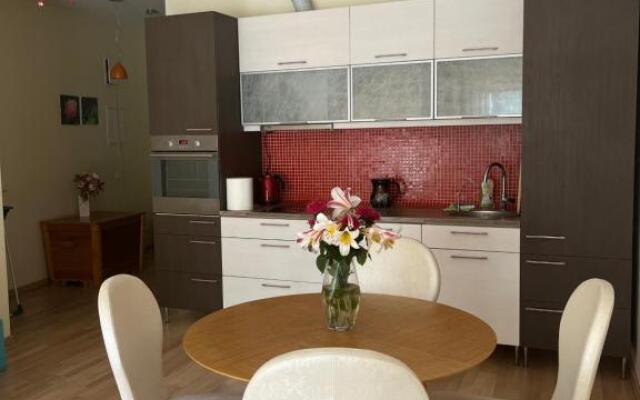 Lovely apartment with terrace near from beach!