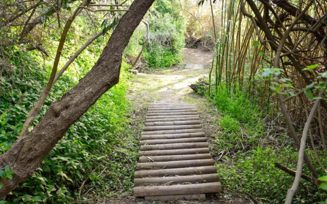 Stonehill River Lodge