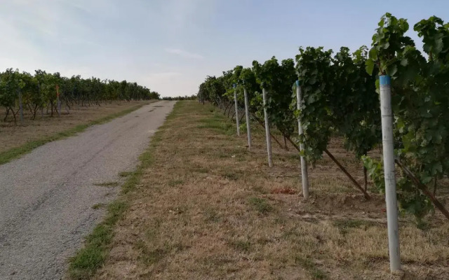 Ferienwohnung Südpfalz