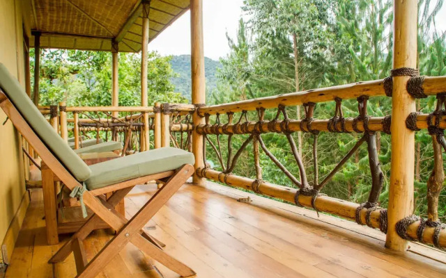 Ichumbi Gorilla Lodge