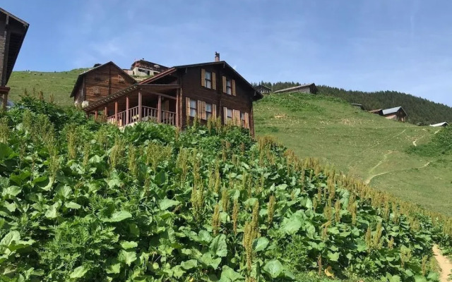Pokut Inn