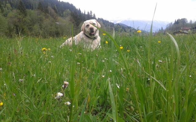 Appartement Haus Pichler