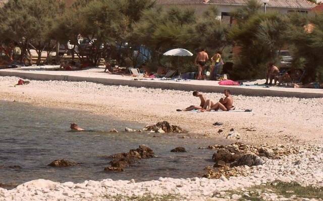 Mario - With Garden - A1