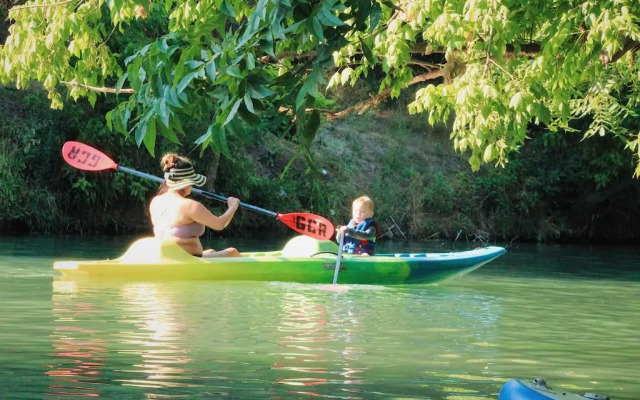 2 Son's Geronimo - Birdhouse Cabin