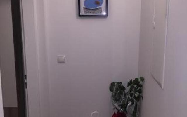 Apartment Mischa