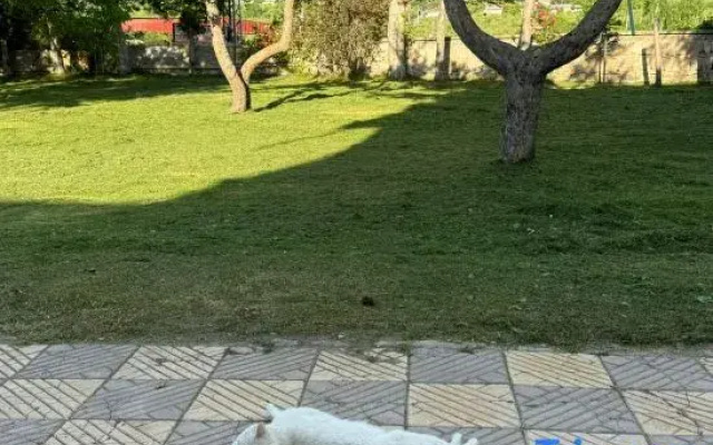 Şafak Hostel