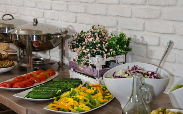Kibbutz Malkiya Travel Hotel