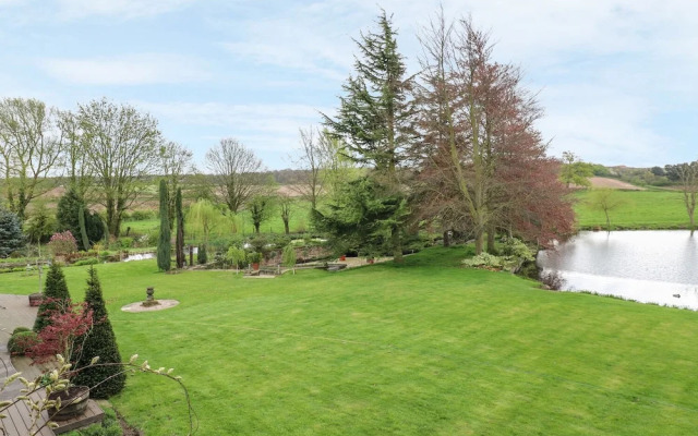 Pond View