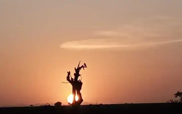 Amanya Star Bed Amboseli