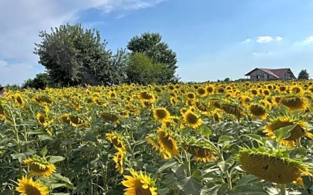 KALòS b&B
