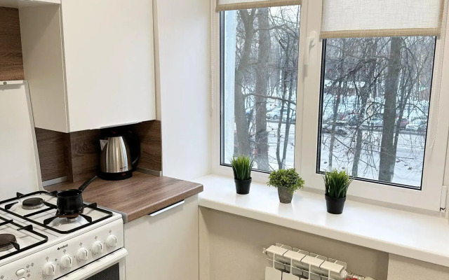 ДзенХоум на проспекте Гагарина 62