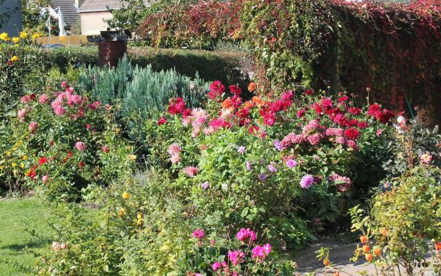 Moderne Ferienwohnung in Kuhlungsborn im Grunen