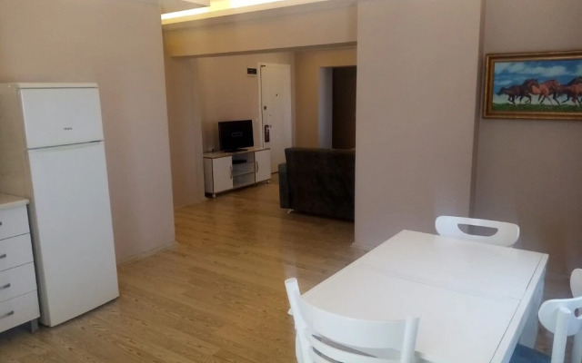 Silver Tower Residence