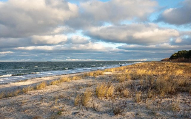 Strandhaus Zingst Apartment 15
