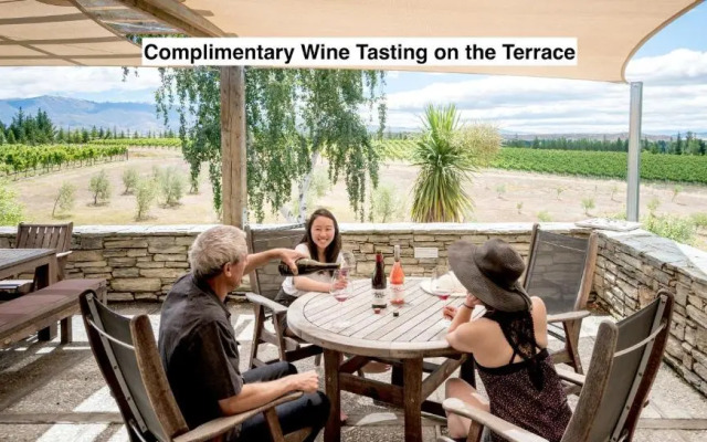 Grey Ridge Vineyard Experience