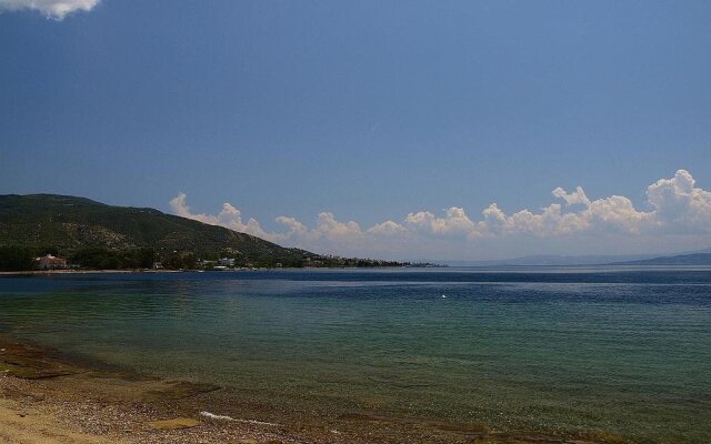 Vergina