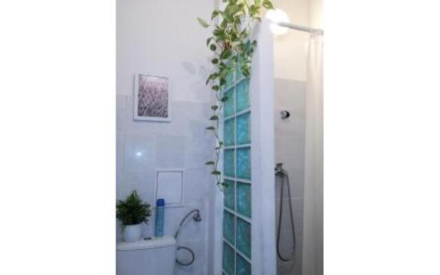 Activity Hostel