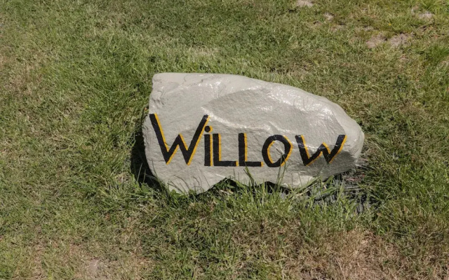 Willow