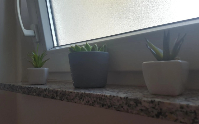 Sunny Kvarner Apartment