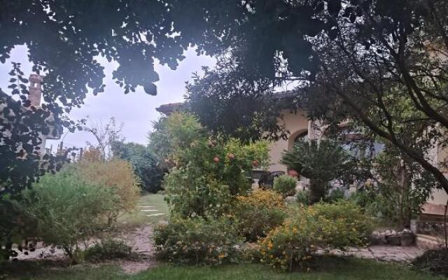 B&B Ottoulivi