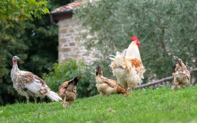 Farm Stay Agriturismo Semidimela