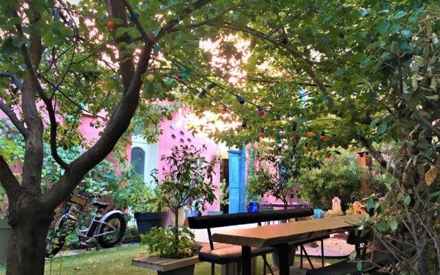 Vieux Port Panier Jardin