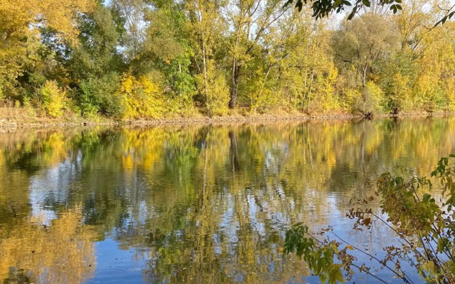 Pension Am Rosental Merseburg