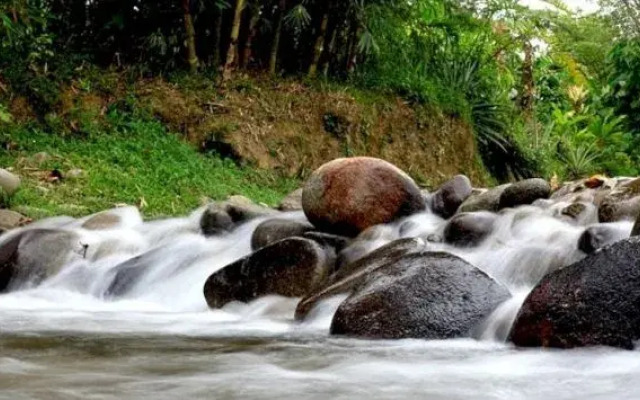 Suria Hill Country House, Janda Baik