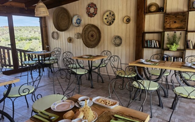 la corte degli ulivi