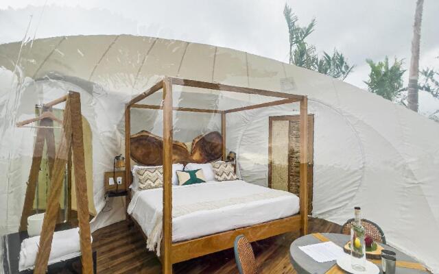 Green Land Bubble Glamping