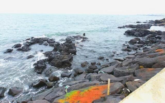 Jeju Syagaluibada Pension