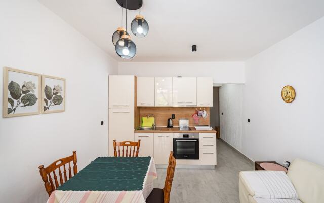 Cozy Apartment Branka With Nice Garden 5