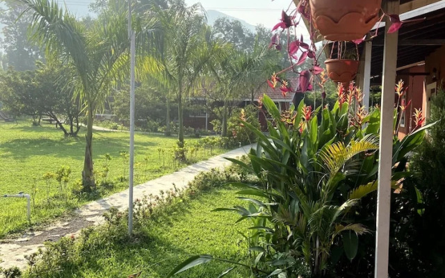 Mango Tree Farm