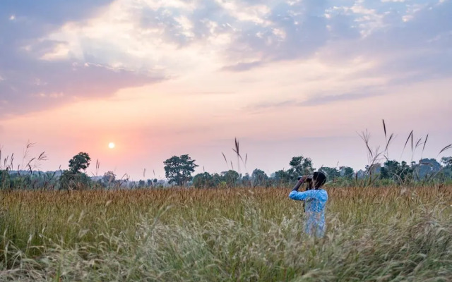 Pugdundee Safaris- Tree House Hideaway