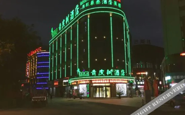 Vatica Hotel (Suining Bayi West Road)