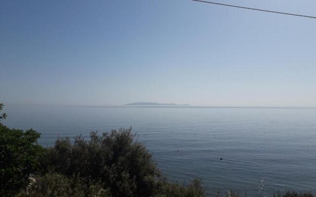 Endless Blue Sea Frontal house