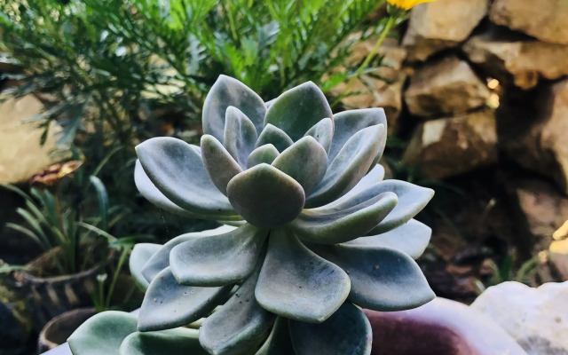 Saigonese Trekking House - Hostel