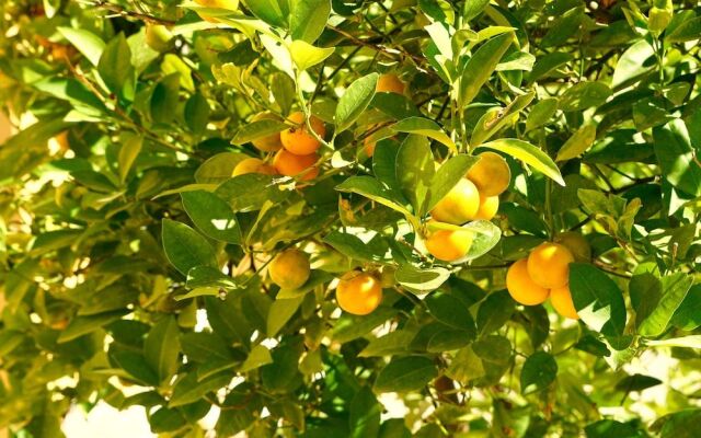 Villa Juli Guesthouse